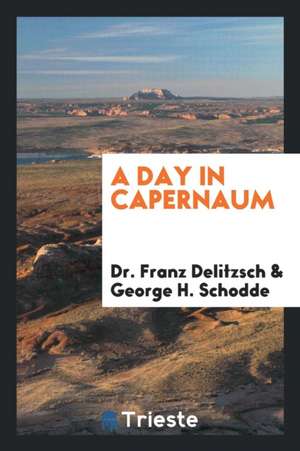 A Day in Capernaum de Franz Delitzsch