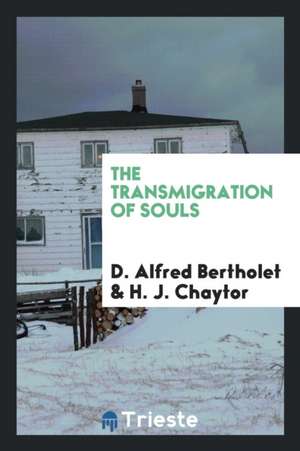 The Transmigration of Souls de James Smith