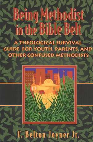 Being Methodist in the Bible Belt: A Postmodern Approach de Joyner