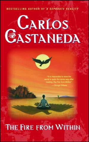 Fire from Within de Carlos Castaneda