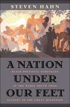 A Nation Under Our Feet – Black Political Struggles in the Rural South from Slavery to the Great Migration de Steven Hahn