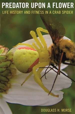 Predator upon a Flower – Life History and Fitness in a Crab Spider de Douglass H Morse