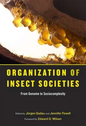 Organization of Insect Societies – From Genome to Sociocomplexity de Jurgen Gadau