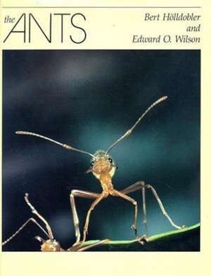 The Ants de B Holldobler