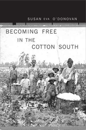 Becoming Free in the Cotton South de Susan Eva Odonovan