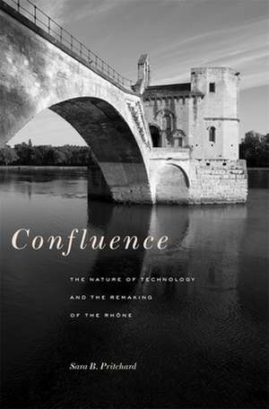 Confluence de Sara B. Pritchard