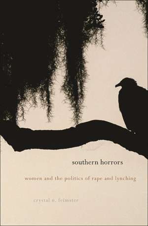 Southern Horrors – Women and the Politics of Rape and Lynching de Crystal N. Feimster