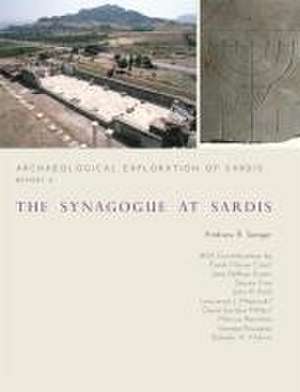 The Synagogue at Sardis de Andrew R. Seager