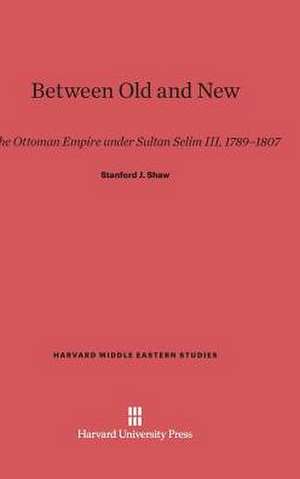 Between Old and New de Stanford J. Shaw