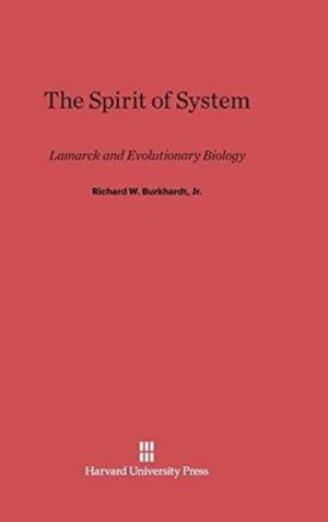 The Spirit of System de Jr. Burkhardt