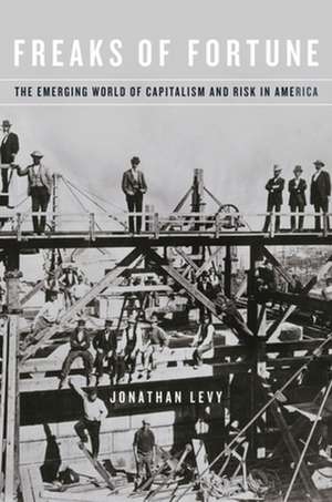 Freaks of Fortune – The Emerging World of Capitalism and Risk in America de Jonathan Levy