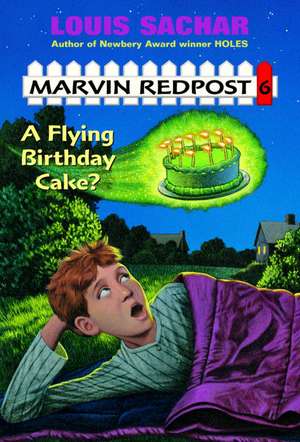 A Flying Birthday Cake de Louis Sachar