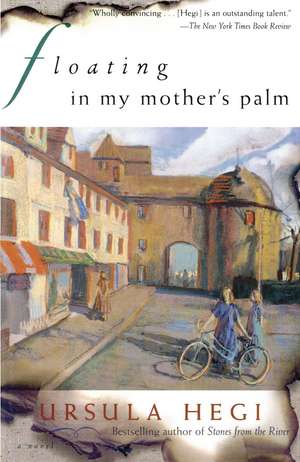 Floating in My Mother's Palm de Ursula Hegi