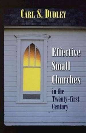 Effective Small Churches in the Twenty-First Century: Systematic Theology Volume 1, Revised de Carl S. Dudley