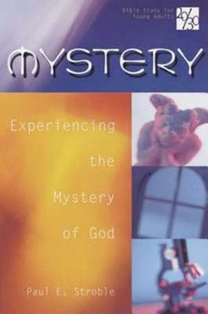 20/30 Bible Study for Young Adults: Experiencing the Mystery of God de Paul E. Stroble