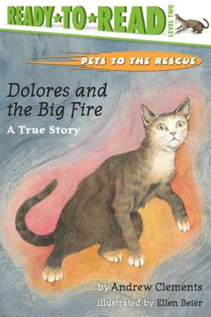 Dolores and the Big Fire: Dolores and the Big Fire de Andrew Clements