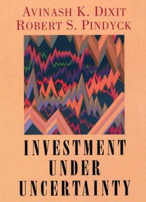 Investment under Uncertainty de Robert K. Dixit