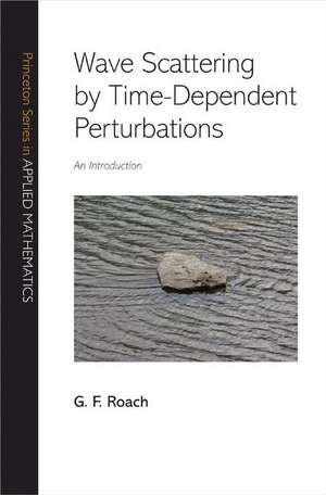 Wave Scattering by Time–Dependent Perturbations – An Introduction de G. F. Roach