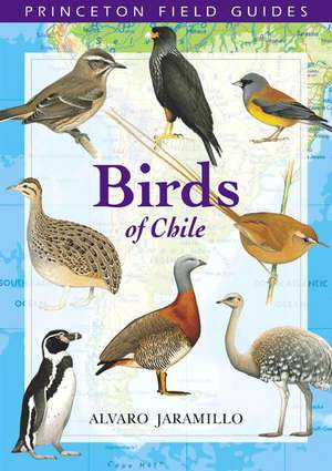 Birds of Chile de Alvaro Jaramillo