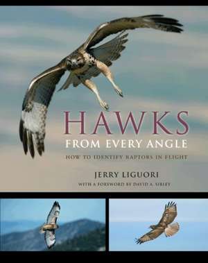 Hawks from Every Angle – How to Identify Raptors In Flight de Jerry Liguori