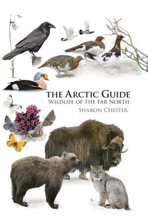 The Arctic Guide – Wildlife of the Far North de Sharon Chester