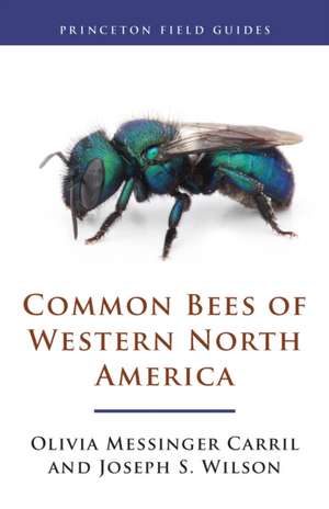 Common Bees of Western North America de Olivia Messinge Carril