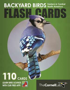 Backyard Birds Flash Cards– Eastern & Central North America de Lab Ornithology Cornell