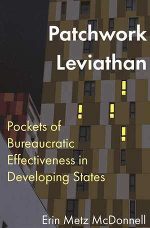 Patchwork Leviathan de Erin Metz McDonnell