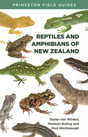 Reptiles and Amphibians of New Zealand de Dylan Van Winkel