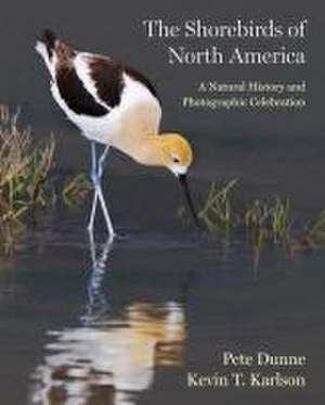 The Shorebirds of North America – A Natural History and Photographic Celebration de Pete Dunne