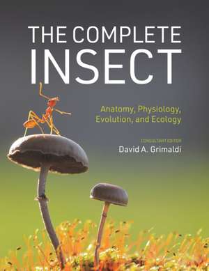 The Complete Insect – Anatomy, Physiology, Evolution, and Ecology de David A. Grimaldi