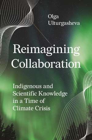 Reimagining Collaboration de Olga Ulturgasheva