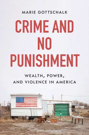 Crime and No Punishment de Marie Gottschalk