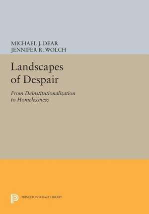 Landscapes of Despair – From Deinstitutionalization to Homelessness de Michael J. Dear