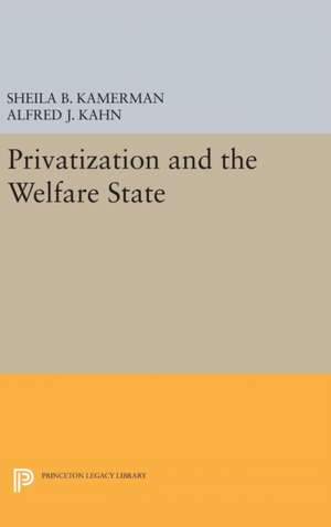 Privatization and the Welfare State de Sheila B. Kamerman