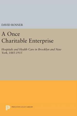 A Once Charitable Enterprise de David Rosner