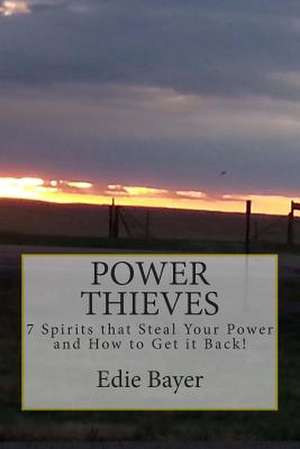 Power Thieves de Edie Bayer