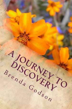 A Journey to Discovery: Recapturing Your Childhood Wonder de Brenda Godson