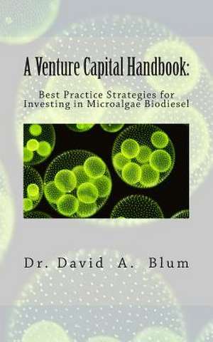 A Venture Capital Handbook de David a. Blum Dba