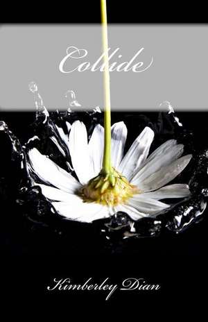 Collide de Kimberley Dian