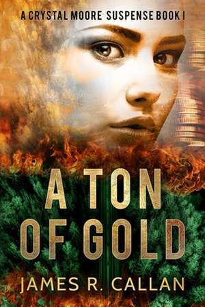 A Ton of Gold de James R. Callan