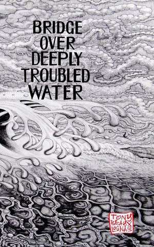 Bridge Over Deeply Troubled Waters de Tony Beauxlognas