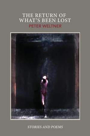 The Return of What's Been Lost de Peter Weltner