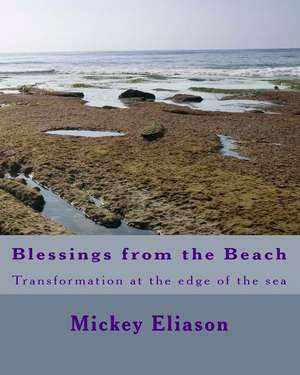 Blessings from the Beach: Transformation at the edge of the sea de Mickey Eliason