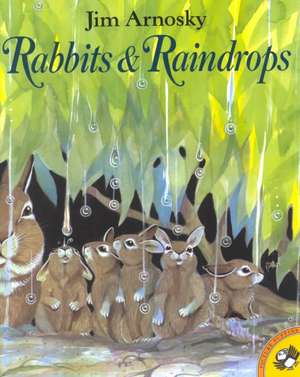 Rabbits and Raindrops de Jim Arnosky