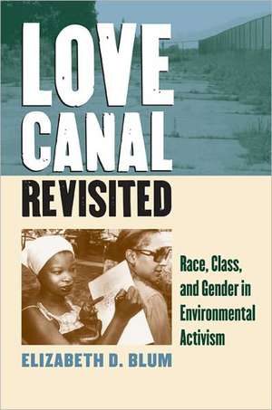 Love Canal Revisited: Race, Class, and Gender in Environmental Activism de Elizabeth D. Blum