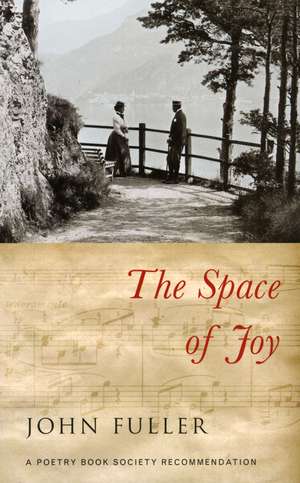 The Space of Joy de John Fuller