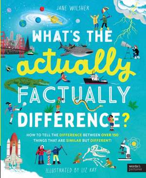 What's the Actually Factually Difference? de Jane Wilsher