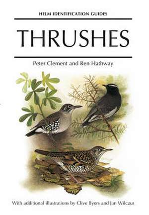 Thrushes de REN HATHWAY