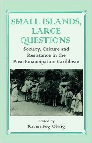 Small Islands, Large Questions: Society, Culture and Resistance in the Post-Emancipation Caribbean de Karen Fog Olwig